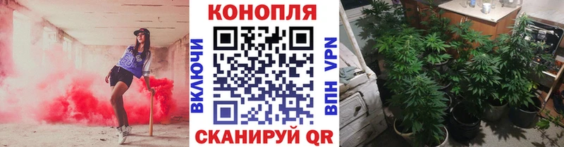 Купить МАРИХУАНА  COCAIN  АМФ  Меф  Сальск