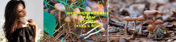 ECSTASY Белоозёрский