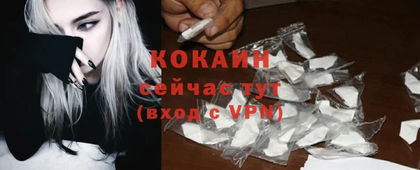 прущие грибы Балабаново