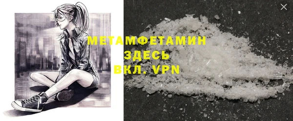 прущие грибы Балабаново