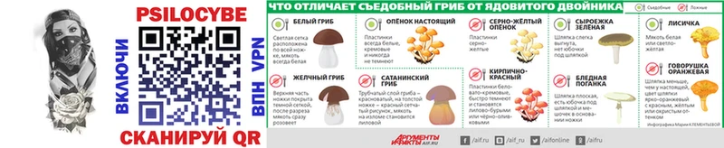 Купить где  Сальск  Галлюциногенные грибы Cubensis 
